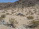 KOH 2012 033.JPG